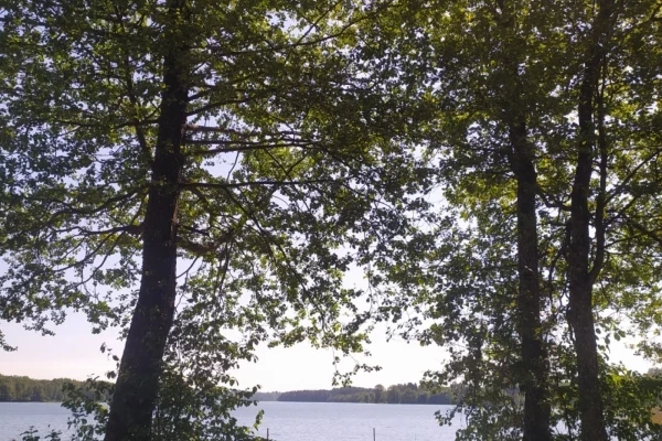 Zdjęcie Pole namiotowe nad jeziorem Rospuda