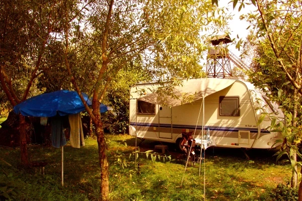 Zdjęcie Biebrzańskie Safari - Pole namiotowe